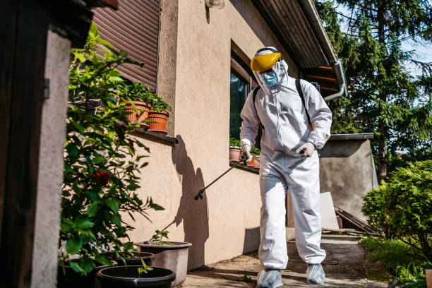 Best Rodent Control Near Me  in Montrose, MI
