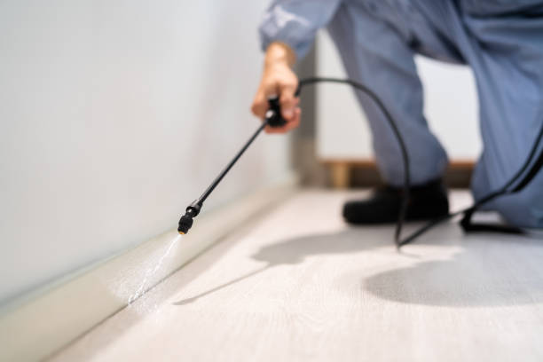 Best Residential Pest Control  in Montrose, MI