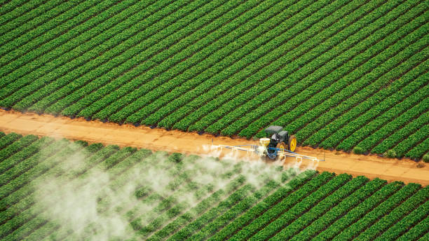 Best Pest Control for Businesses  in Montrose, MI