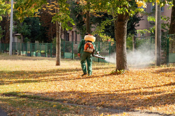 Best Ant Control Services  in Montrose, MI