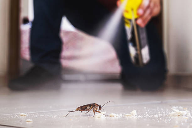 Best Cockroach Control Services  in Montrose, MI