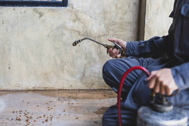 Best Pest Control for Restaurants  in Montrose, MI